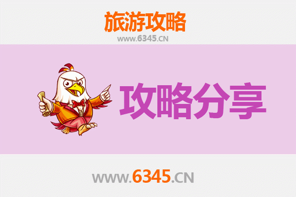 百色西林旅游攻略：跟团与自由行深度对比